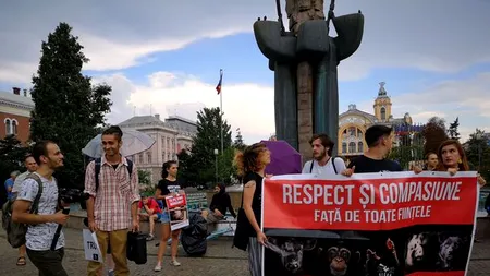 Marș al veganilor la Cluj-Napoca: „Foaie verde de șofran, ce bine-i să fii vegan