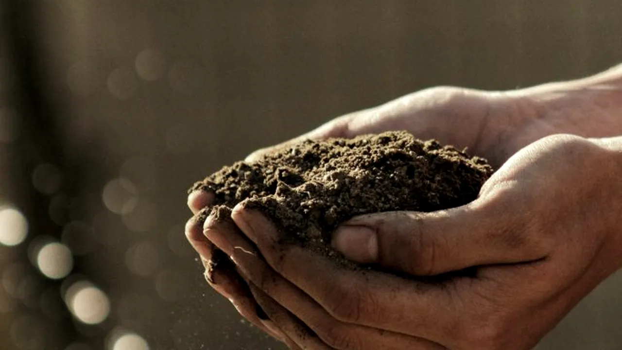 ITALIA. Român arestat în Italia pentru intermedierea și exploatarea conaționalilor