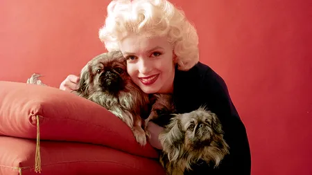 Fotografii nemaivăzute cu Marilyn Monroe. Imaginile în premieră care o arată pe celebra actriță așa cum nu a mai apărut niciodată