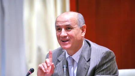 Profesorul universitar Stelian Brezeanu: 
