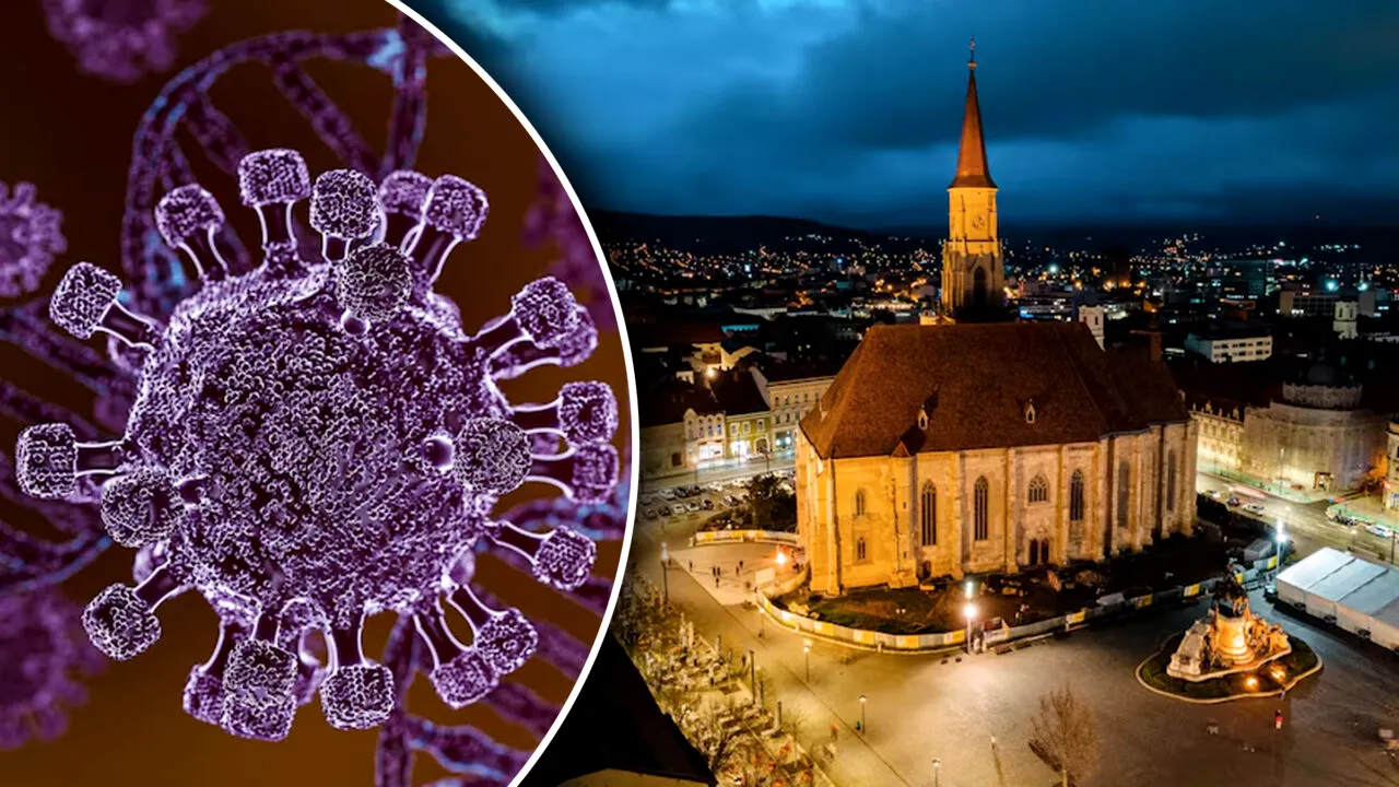 Încă un caz de hantavirus în România, la Arad. Este vorba de un pacient internat la Spitalul de Psihiatrie din Ştei, Bihor