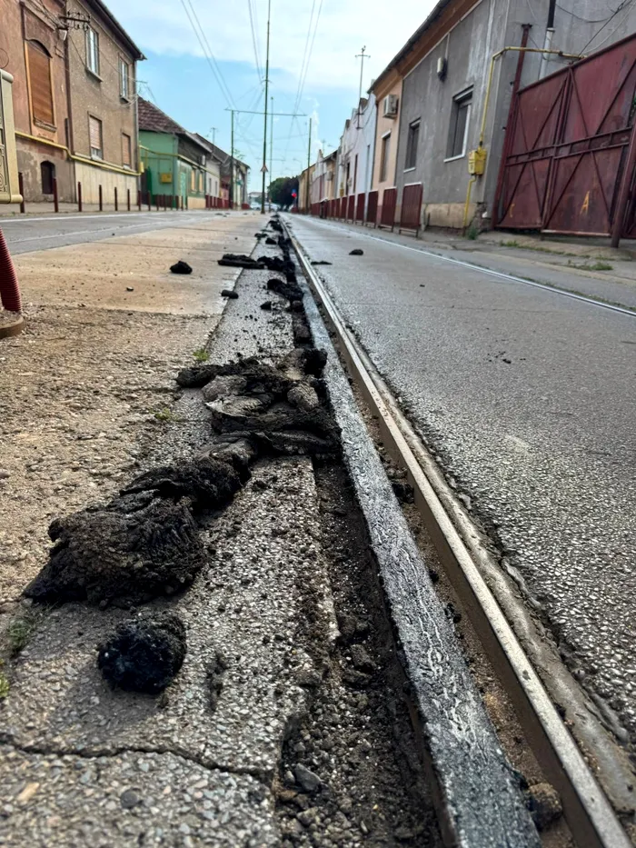 Șine de tramvai încinse la peste 60°C în Timișoara. Masticul de lângă linie s-a topit și s-a lipit de roți din cauza caniculei