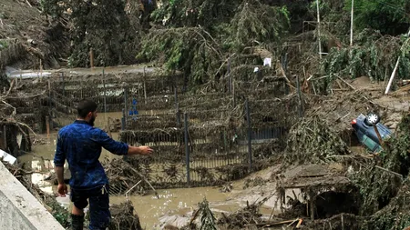 Autoritățile din Georgia caută un alt tigru fugit de la grădina zoologică