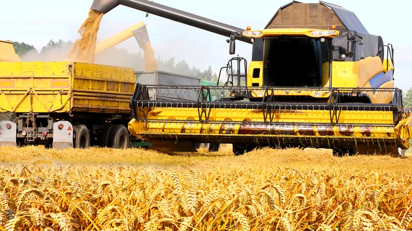 Exporturile de grâu al UE sunt în creștere, iar România este lider 