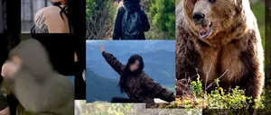 TRAGEDIA din Munții Bucegi și dezbaterea privind sacrificarea urșilor, în presa internațională: „Destinație favorită pentru vânătorii de animale mari”