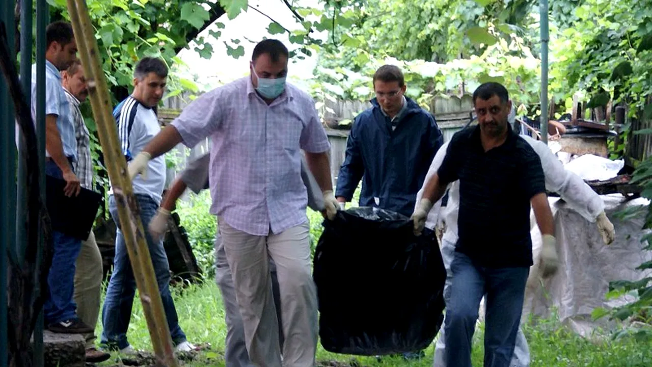 Bărbat de 71 de ani, OMORÂT de un URS în județul Dâmbovița