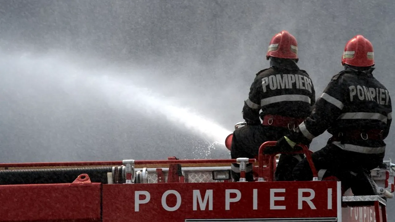 Incendiu puternic la o fermă de vaci din Buzău, 30 de animale au murit