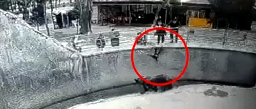 Caz halucinant la o grădină zoologică. O mamă și-a aruncat copilul în țarcul unui urs (VIDEO)