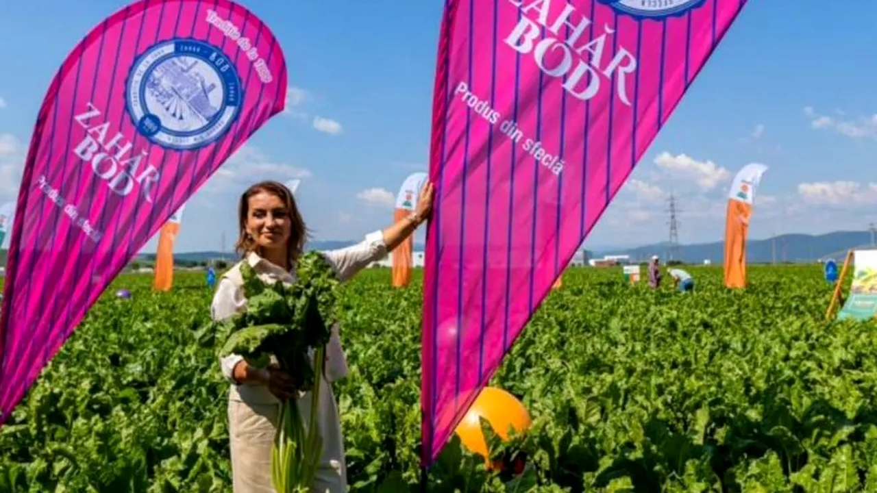 APEL CĂTRE FERMIERI | Mihaela Neagu, acționarul fabricilor de zahăr Bod și Luduș: „În Ardeal, încă se muncește!”