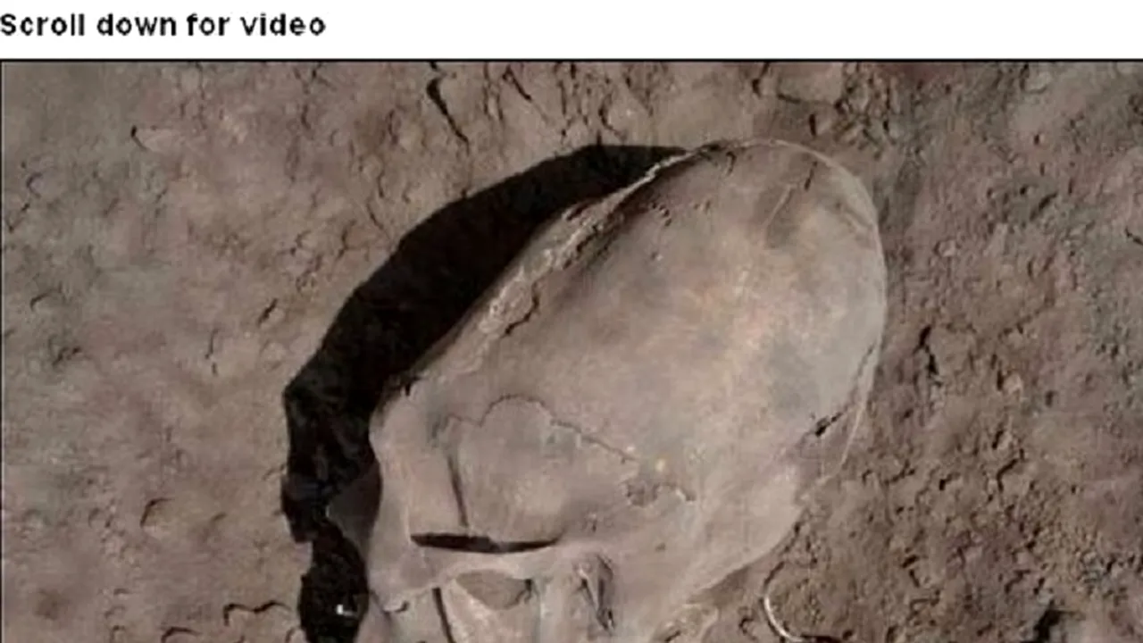Cranii 