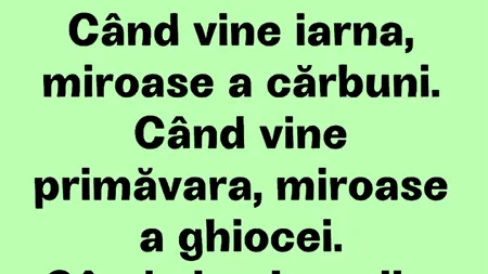 BANCUL ZILEI | Iarna, primăvara și alegerile