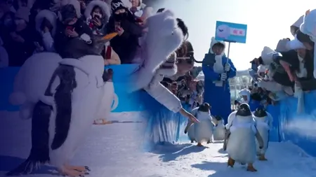 Imagini de la parada anuală a pinguinilor din China. Cum arată expoziția palatelor de gheață