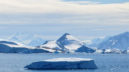 O boală care a făcut ravagii în România, DESCOPERITĂ tocmai în Antarctica
