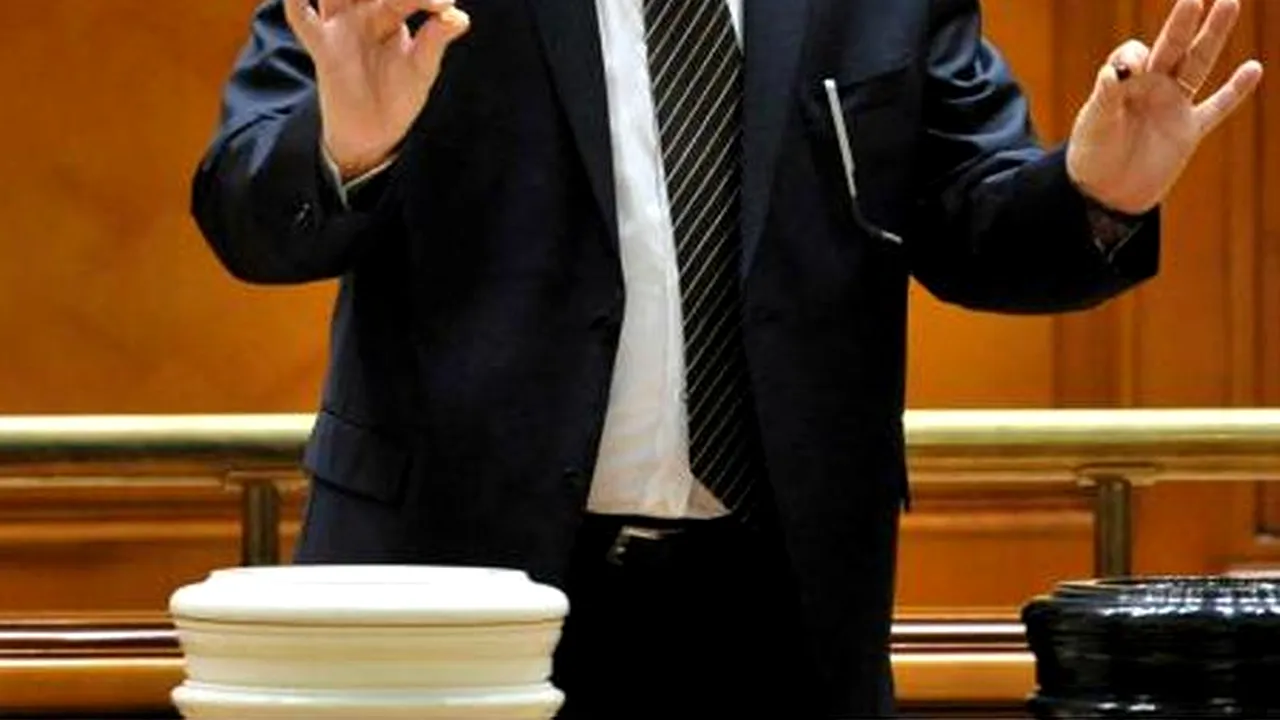 Parlamentarii au rămas fără bile, după votul arestării Elenei Udrea. „Există riscul ca o singură pereche de bile să poată determina un vot