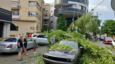 Furtuna a făcut din nou prăpăd în CAPITALĂ. În Otopeni, o femeie a fost ucisă de un acoperiș desprins. Sunt zeci de copaci rupți și mașini distruse