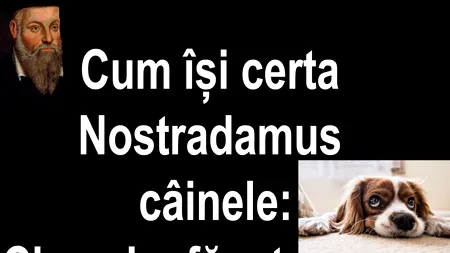 Bancul nopții | Cum își certa Nostradamus câinele