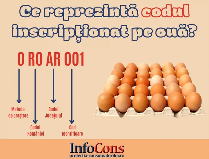 Sursa foto: InfoCons