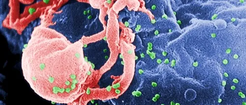 Savanții spanioli au descoperit molecula virusului HIV care este responsabilă de apariția SIDA în organism