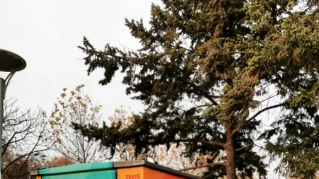 Proiect inedit: Chipul lui Mihai Bendeac, pictat pe un punct electric de transformare din Parcul IOR (FOTO)