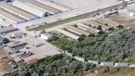Suspendarea exportului cu animale vii pe durata caniculei, măsură cerută de ANSVSA, ignorată de comercianți