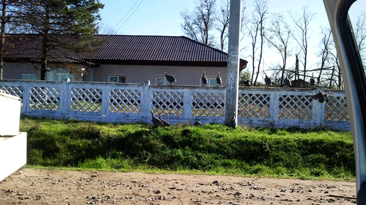 SE ÎNTÂMPLĂ ÎN ROMÂNIA: bătrân de 80 de ani, uitat încuiat trei zile într-o primărie. Primarul spune că 