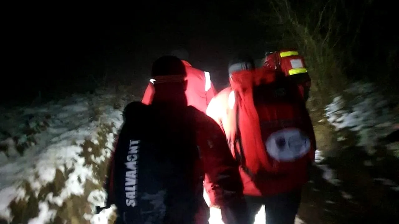 Bărbat atacat de urs, găsit mort într-o casă din pădure, în județul Harghita