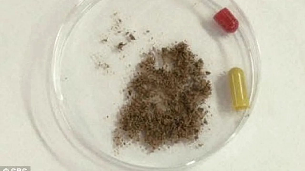 Vameșii din Coreea de Sud au descoperit peste 17.000 de pastile umplute cu praf obținut din rămășițe de copii