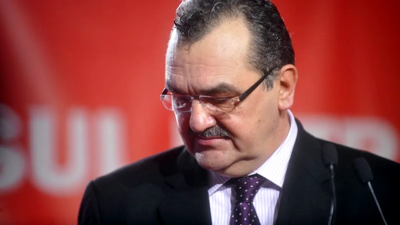 Mama lui Mitrea: Lucrările de la casa mea, plătite din pensia primită din Germania