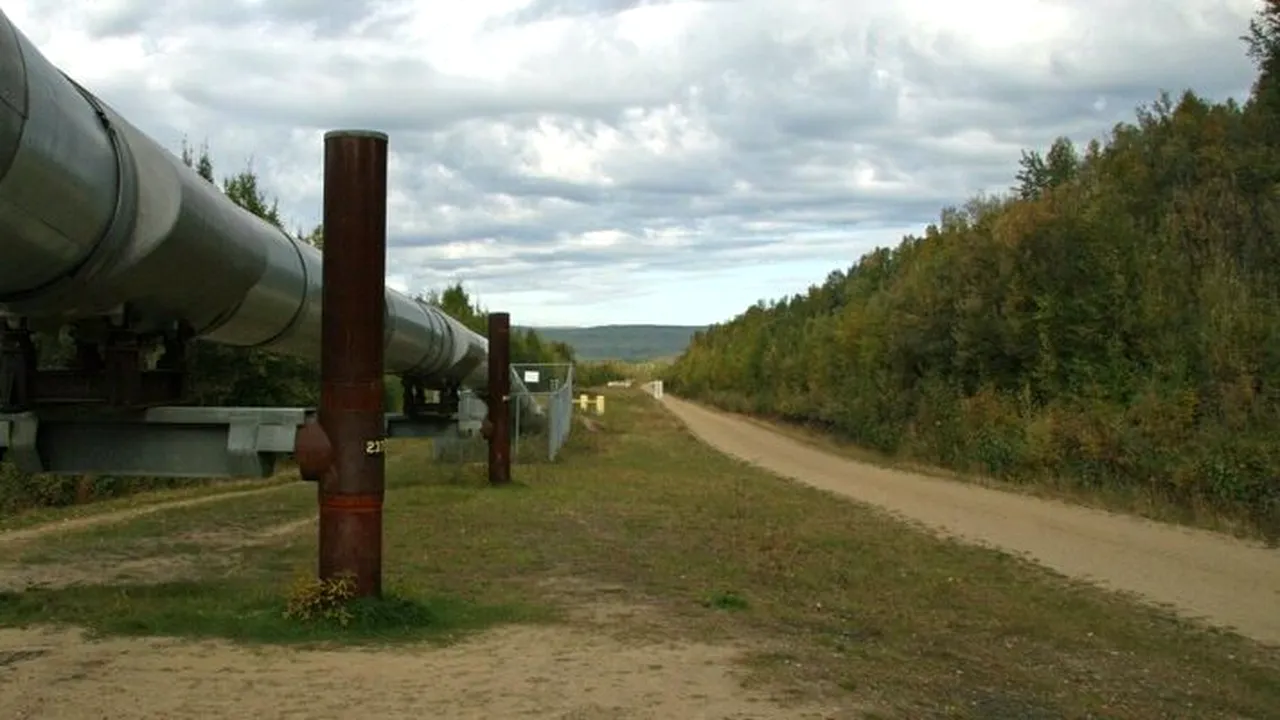 Reducerea consumului de gaz și creșterea eficienței energetice naționale