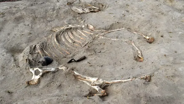 Arheologii au descoperit un cal îngropat în urmă cu 3.000 de ani într-o fortăreață egipteană. Ce alte vestigii au scos la iveală