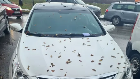 Cum a fost pedepsit un șofer din Ucraina după ce și-a parcat mașina pe două locuri, în Iași