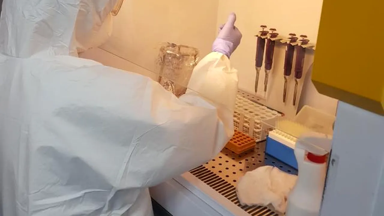 Testare gratuită pentru bucureștenii care vor să meargă în Grecia. Proiectul Gabrielei Firea, posibil în ședința CGMB de miercuri