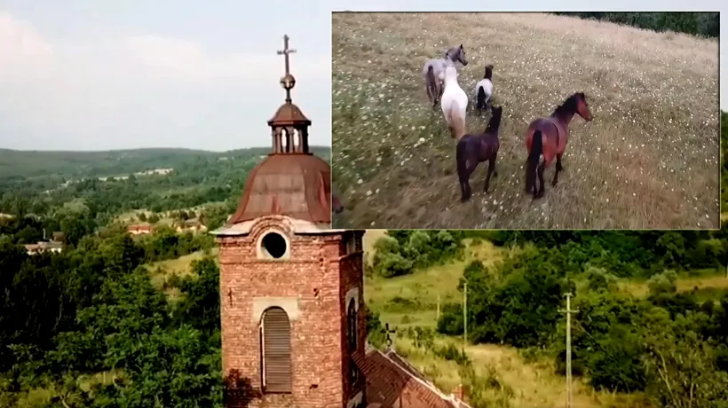 Colțul uitat de RAI din România. A devenit „cămin” inclusiv pentru o herghelie de cai sălbatici și o cireadă unică de vaci
