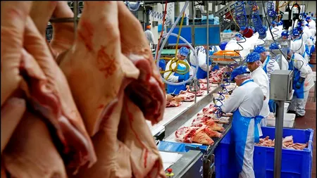 Român bătut fără milă de patronul olandez! Colegii lui, tot români și ei, au filmat toată scena, dar nu au intervenit să-l ajute! - VIDEO