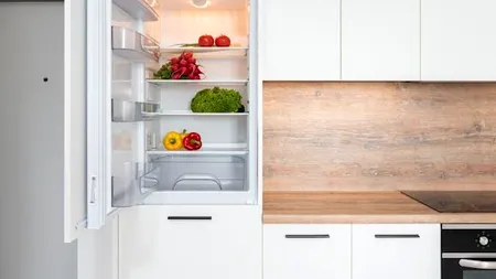 (P) Care sunt diferențele dintre un frigider și o combină frigorifică - Top 5 caracteristici distincte