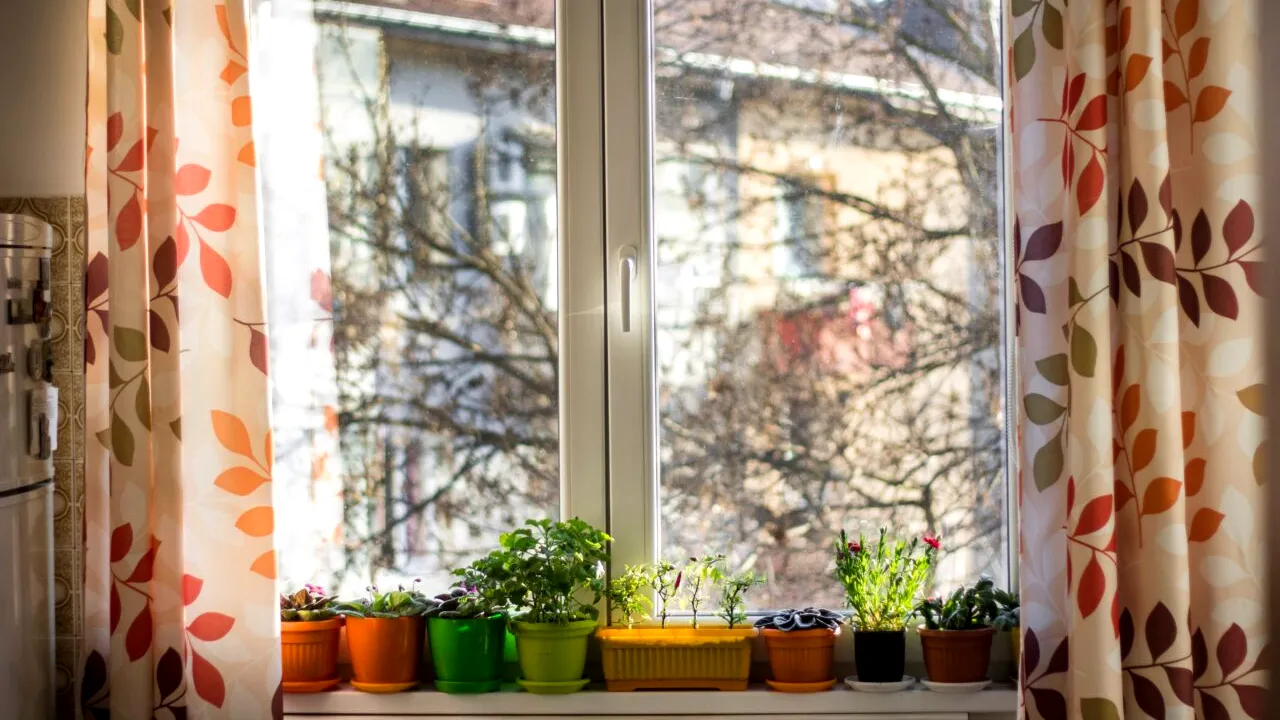 Cum se aerisește locuinţa, pe timp de iarnă. Greşeala făcută de mulți oameni, prin care se pierde căldura din casă