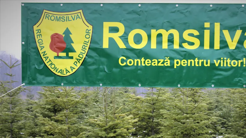 Romsilva va planta în acest an 26 de milioane de puieţi forestieri şi va regenera peste 12.000 de hectare