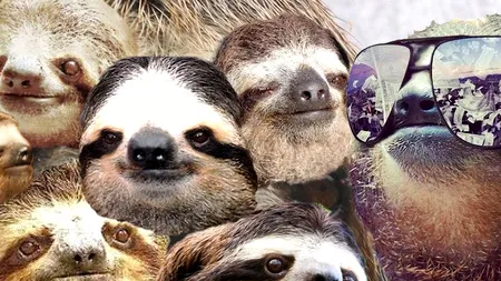 Sorcova Postacului Supărat