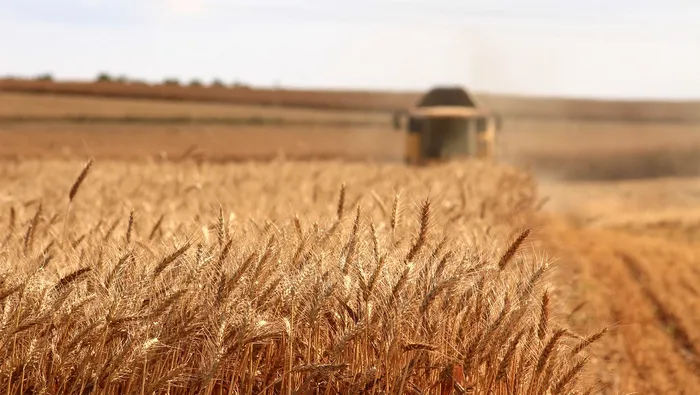 Război în Ucraina, ziua 721: Kievul, pe cale să exporte toate cerealele din recolta pe 2023