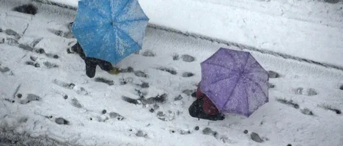 O furtună de zăpadă a făcut ravagii în Japonia. Trei persoane au murit, iar alte 500 au fost rănite