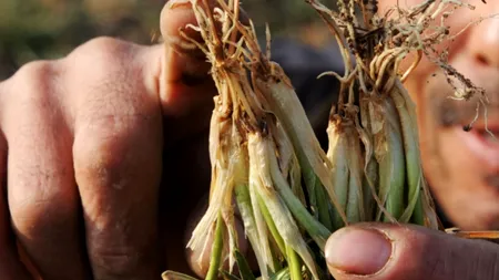 Țara unde aproape jumătate din terenul arabil este degradat. 1,35 miliarde de oameni depind de găsirea unei soluții