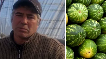 VIDEO| Pepenii de Dăbuleni se scumpesc în 2022. Fermierii se tem că nu își vor recupera investițiile