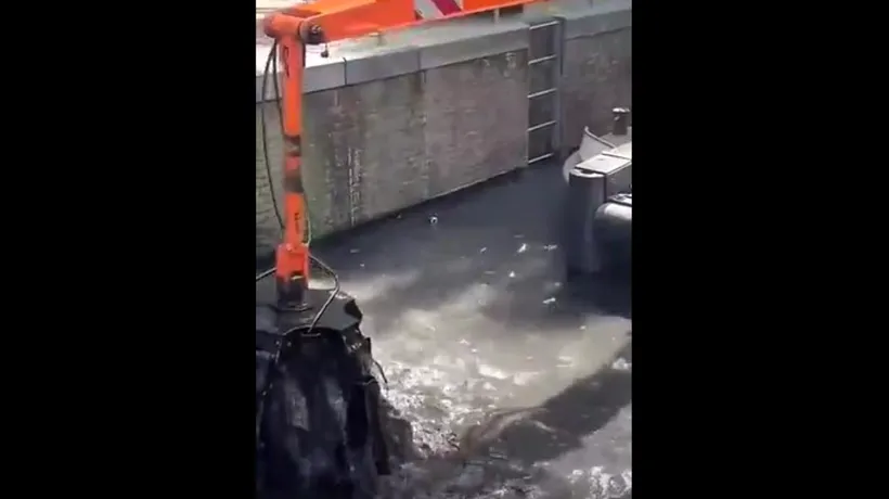 VIDEO | E fascinant ce au scos din apă când au curățat un mare canal din Amsterdam