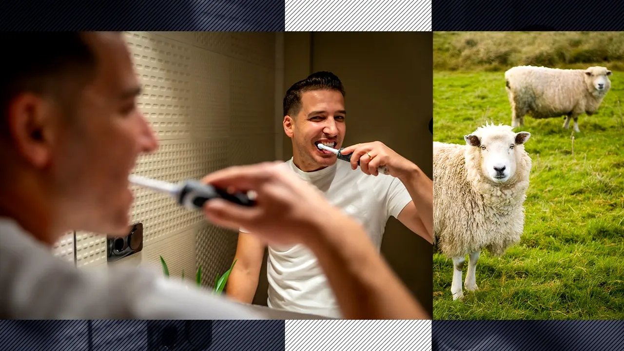 Beneficiile keratinei. PĂR de la frizerie, UNGHII și BLANĂ de la abator, pasta de dinți a viitorului