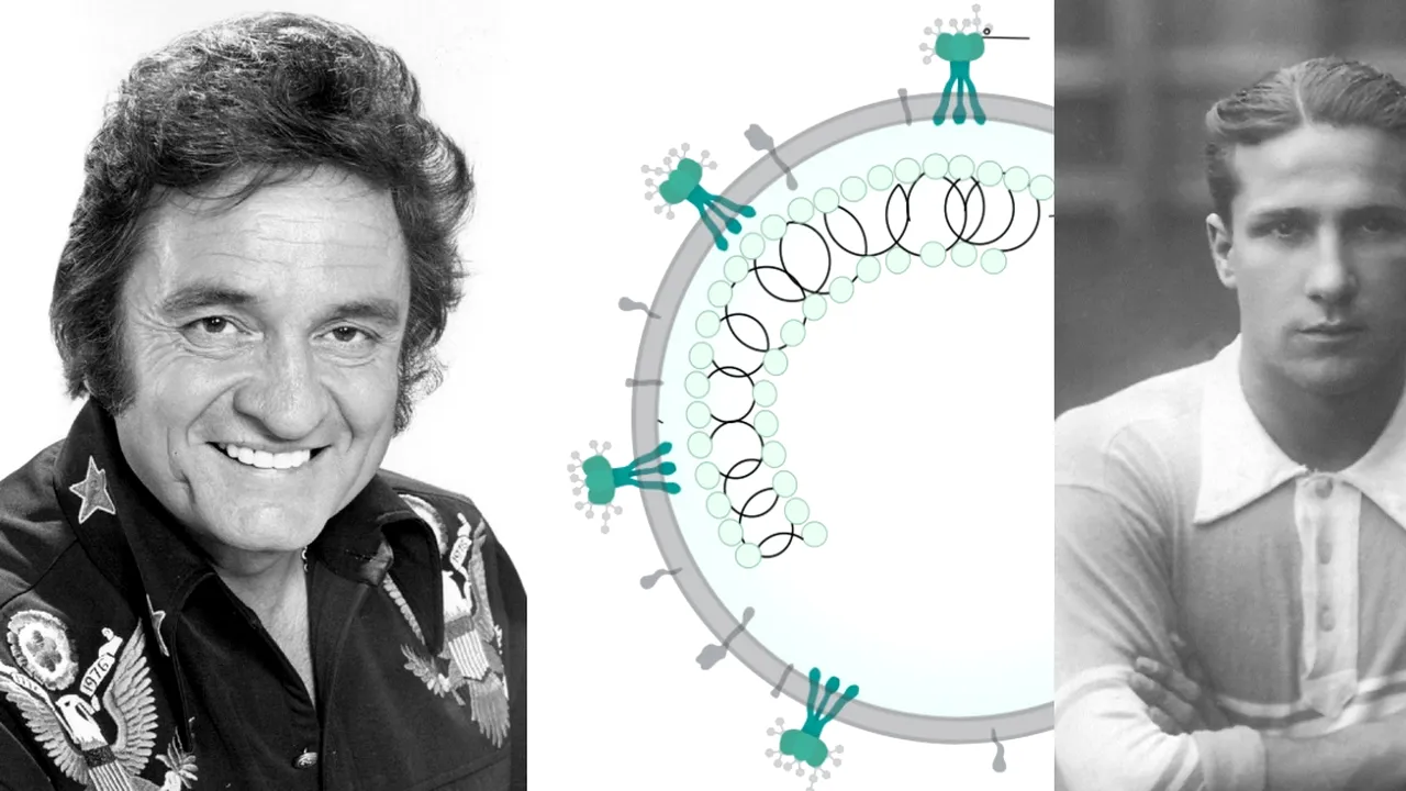 26 FEBRUARIE, calendarul zilei: Se nasc Iuliu Bodola și Johnny Cash/ 5 ani de la primul caz de COVID din România