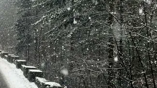 S-a întors iarna, acum, înainte de Paște. Unde ninge miercuri în țara noastră