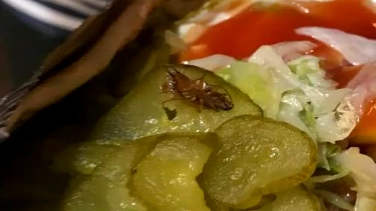 Un tânăr din Timișoara a găsit un gândac în shaorma. Ce au descoperit inspectorii ANPC când au cercetat cazul