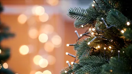 Pericolul care se ascunde în spatele instalațiilor pentru bradul de Crăciun. Sfaturile experților