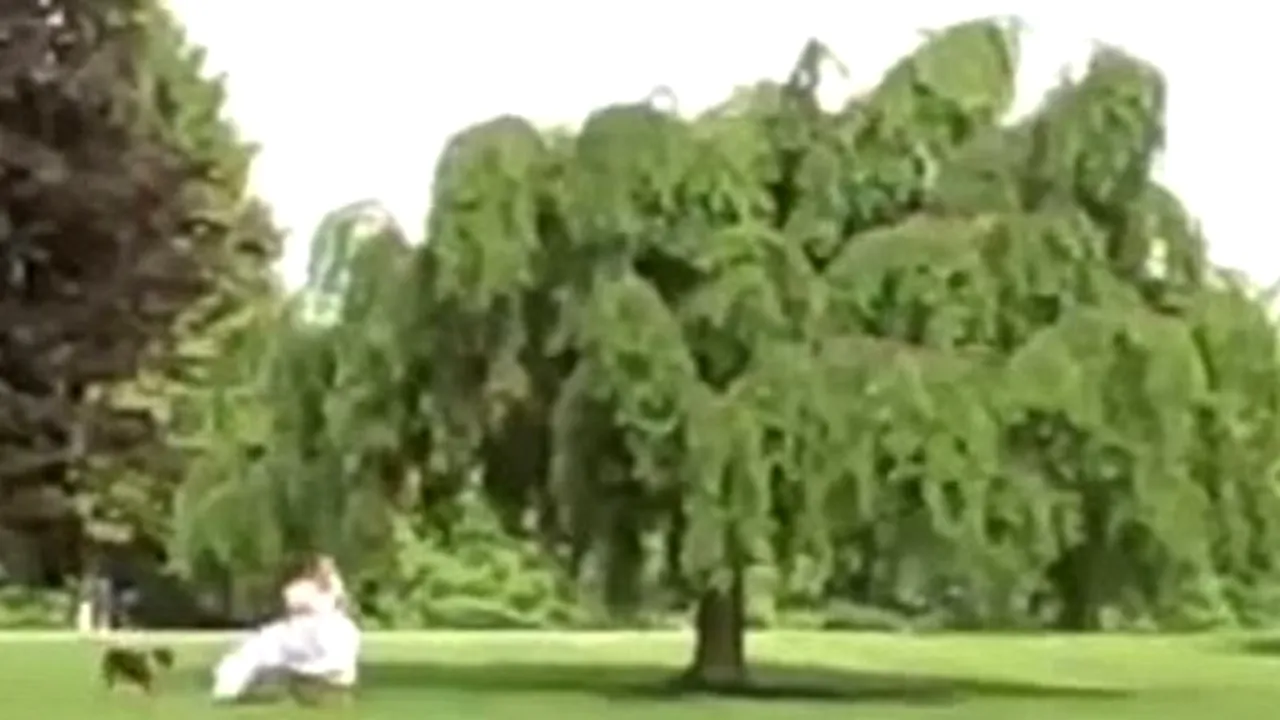 Ce a pățit o mireasă după ce i-a arătat bunicii sale rochia în care urma să se căsătorească. VIDEO