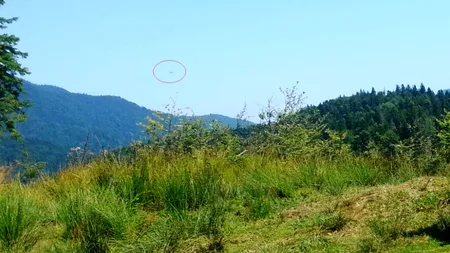 Cât se cheltuie de la buget pentru căutarea planorului dispărut. Raed Arafat a făcut calculele